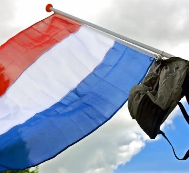 09d144d5 3be7 c6dd 2601 f65231cababc3