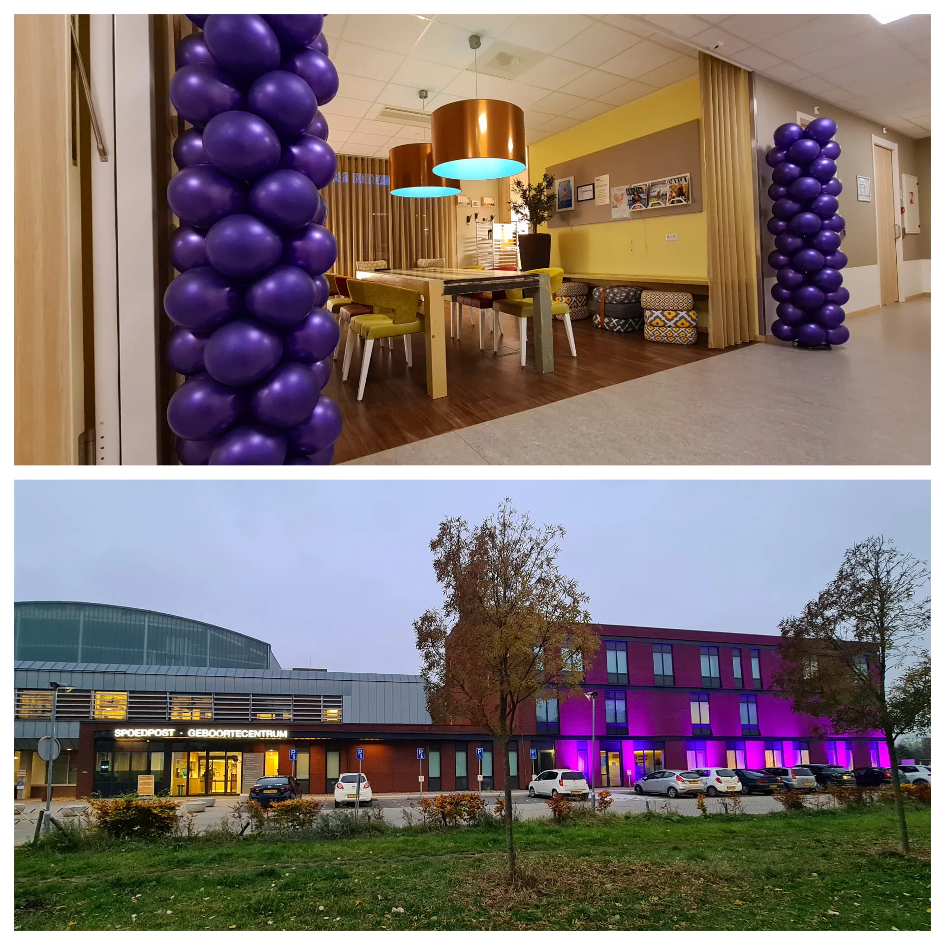 257152757 3198751573693005 9152660595167431974 n 1