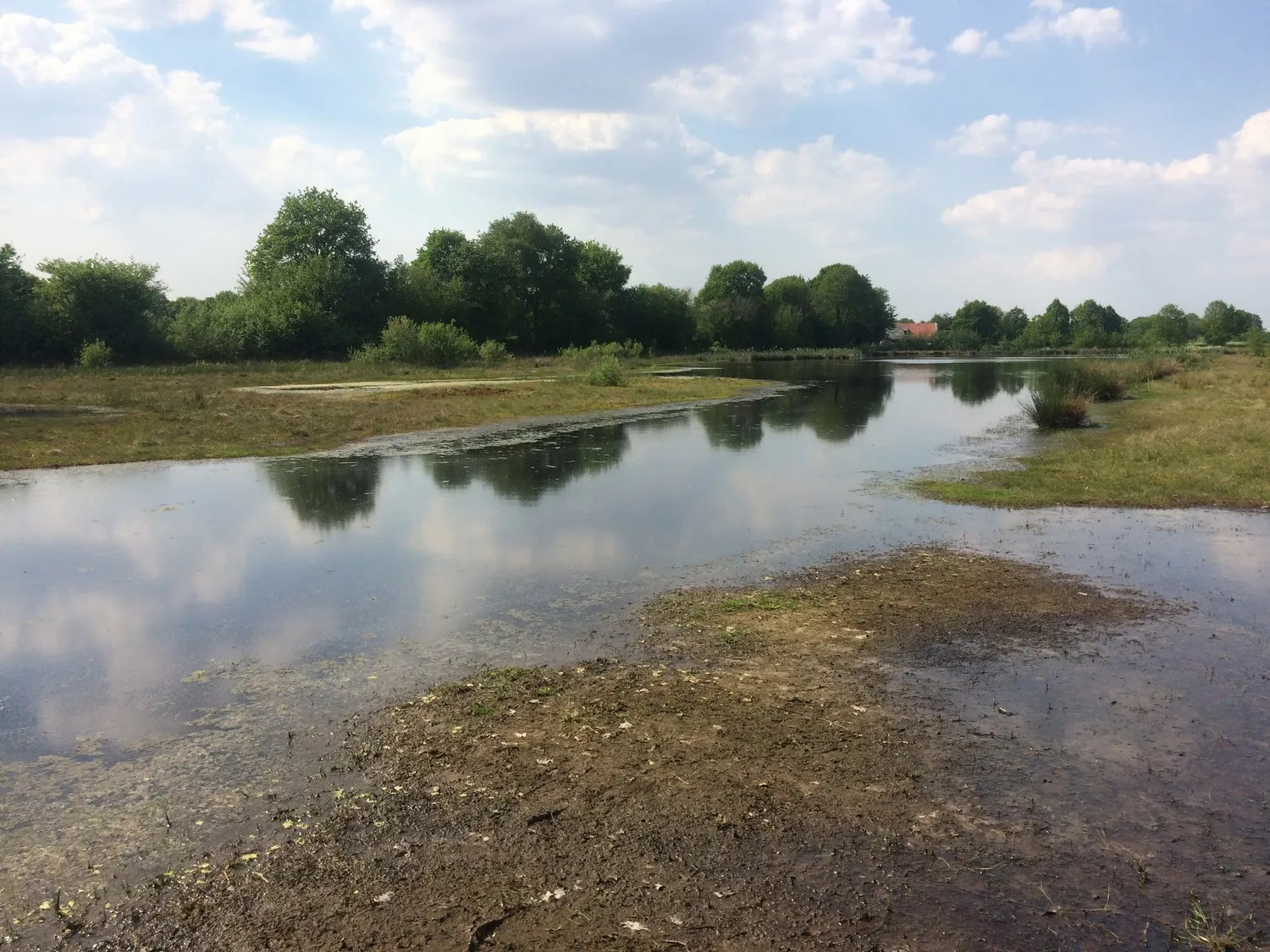 boshuizerbergen maasmeander j leunissen
