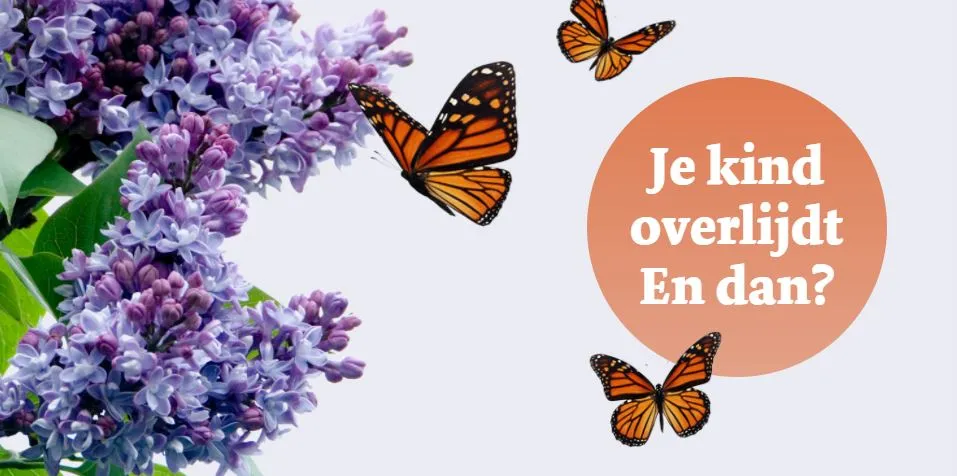 dagvlinder screenshot