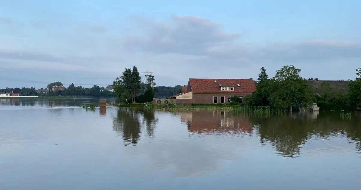 hoogwater in peel en maas