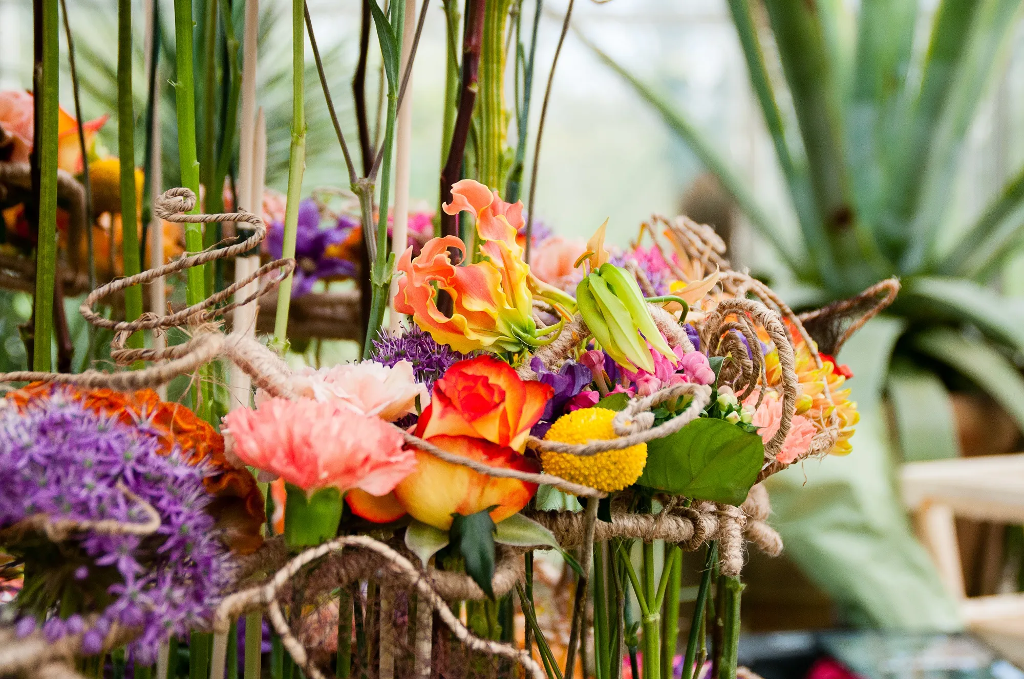 kasteeltuinenarcen examenwerken 02