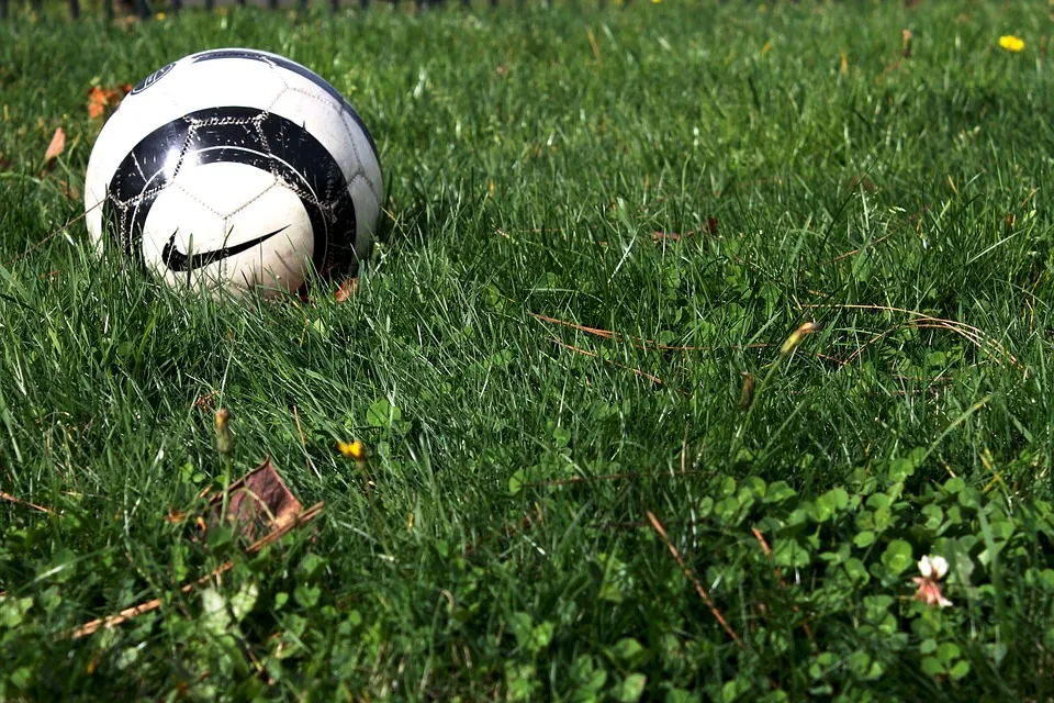 stockfoto voetbal1