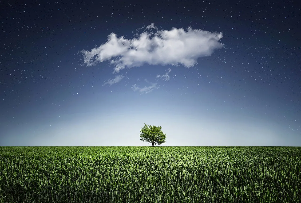 tree g9328e33e6 1280