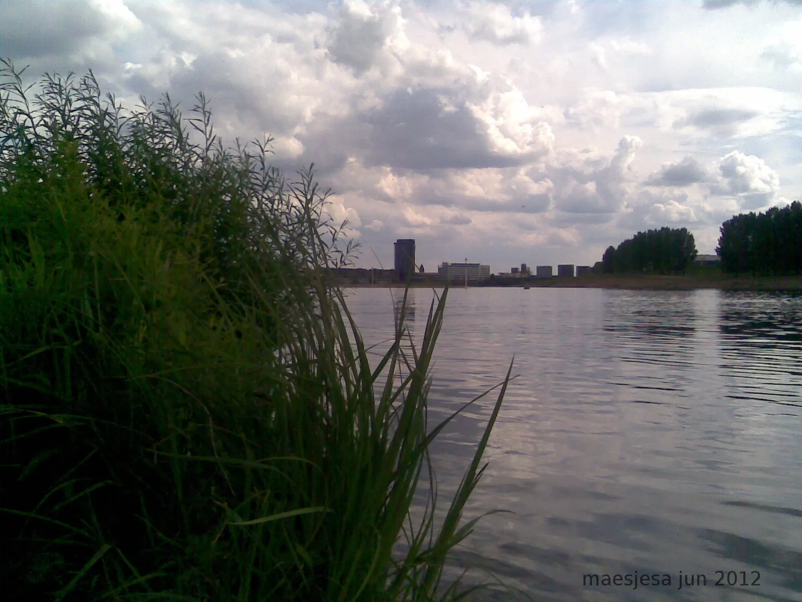 venlo maas panoramio 1