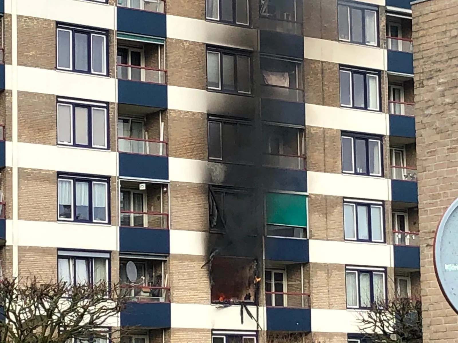 whatsapp image 2020 03 06 at 162010