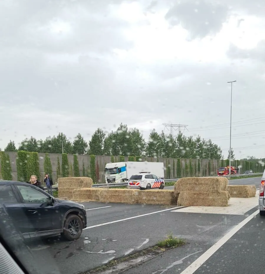 whatsapp image 2022 06 27 at 31203 pm e1656337738653