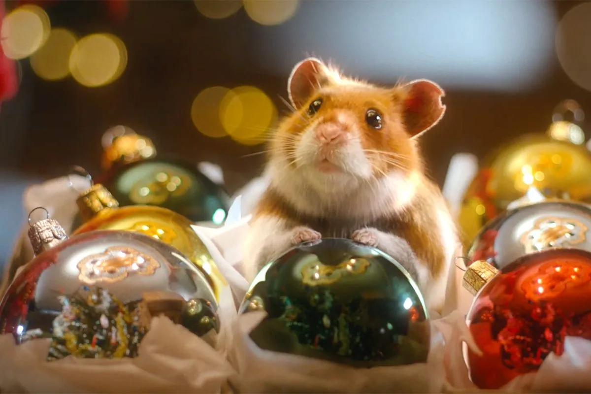 thumb vk harry de hamster in de feel good kerstcommercial 2024 van albert heijn