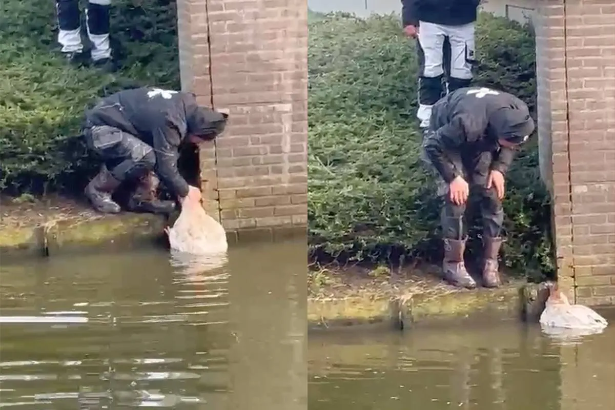 thumb vk niet alle helden dragen een cape held maakt gans los