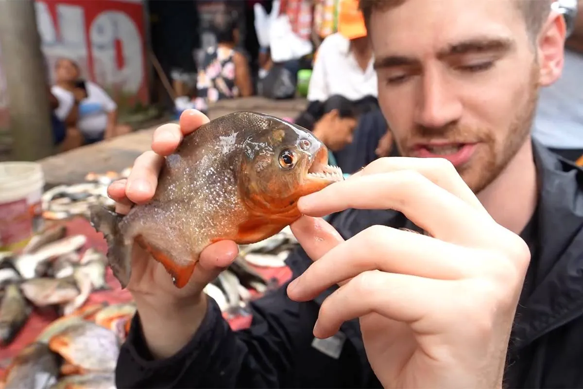 thumb vk bizar vloggers laten grootste illegale dierenmarkt van peru zien