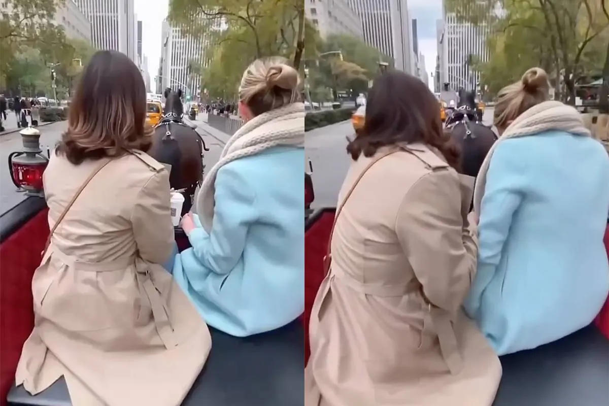 thumb_vk_Paard_geeft_toerist_tijdens_koetsrit_in_New_York_echt_waar_voor_haar_geld