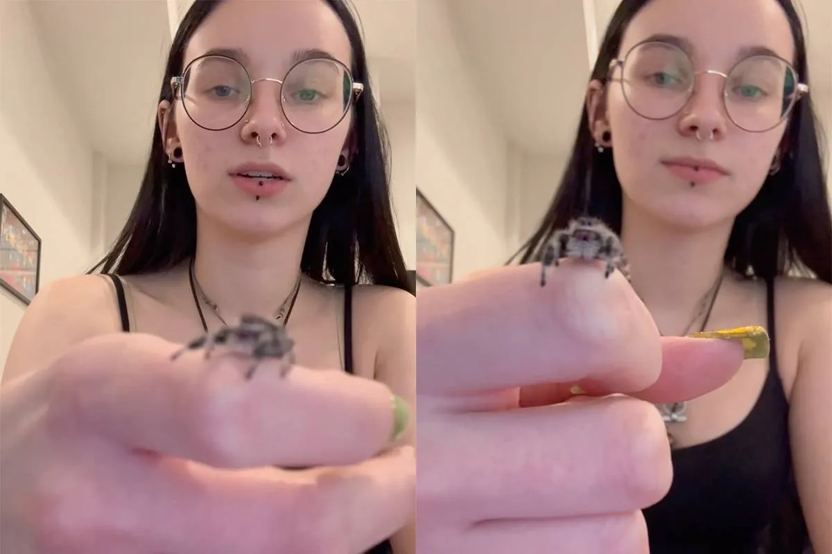 thumb_vk_Deze_springspin_zegt_even_hallo