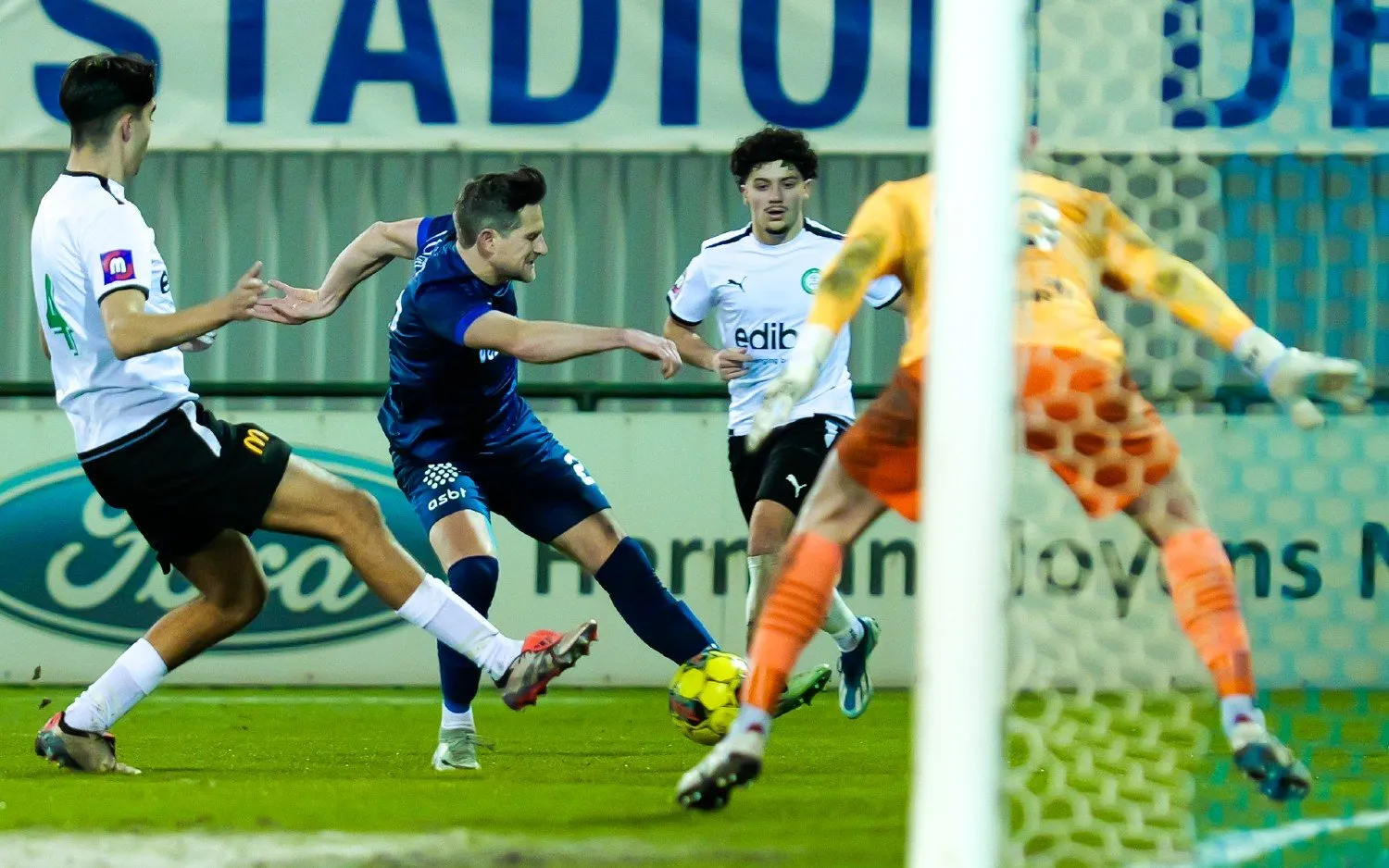 20250125verbroederinggeellommeldriesventose