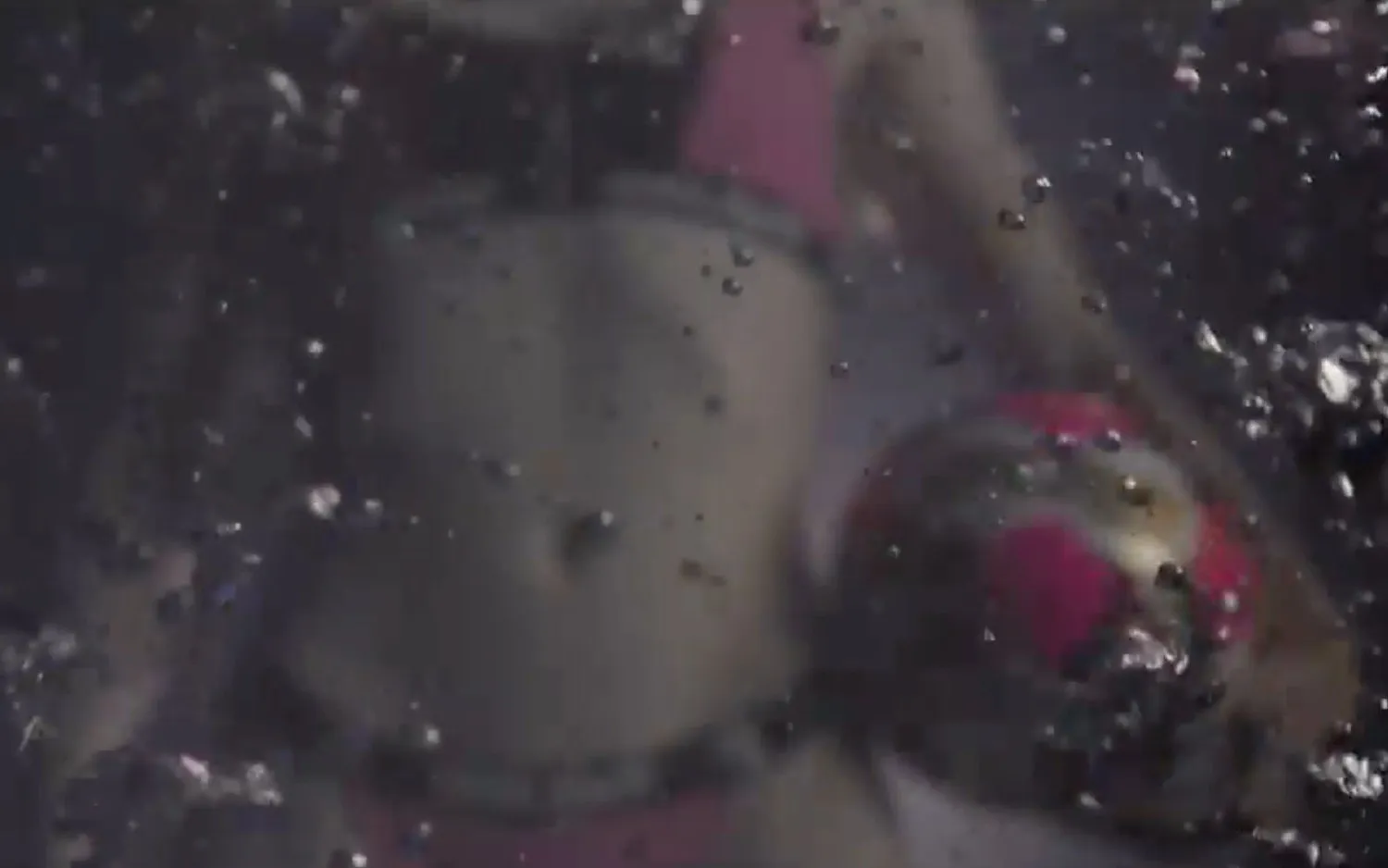 220510tessawullaertonderwaterscreenshot