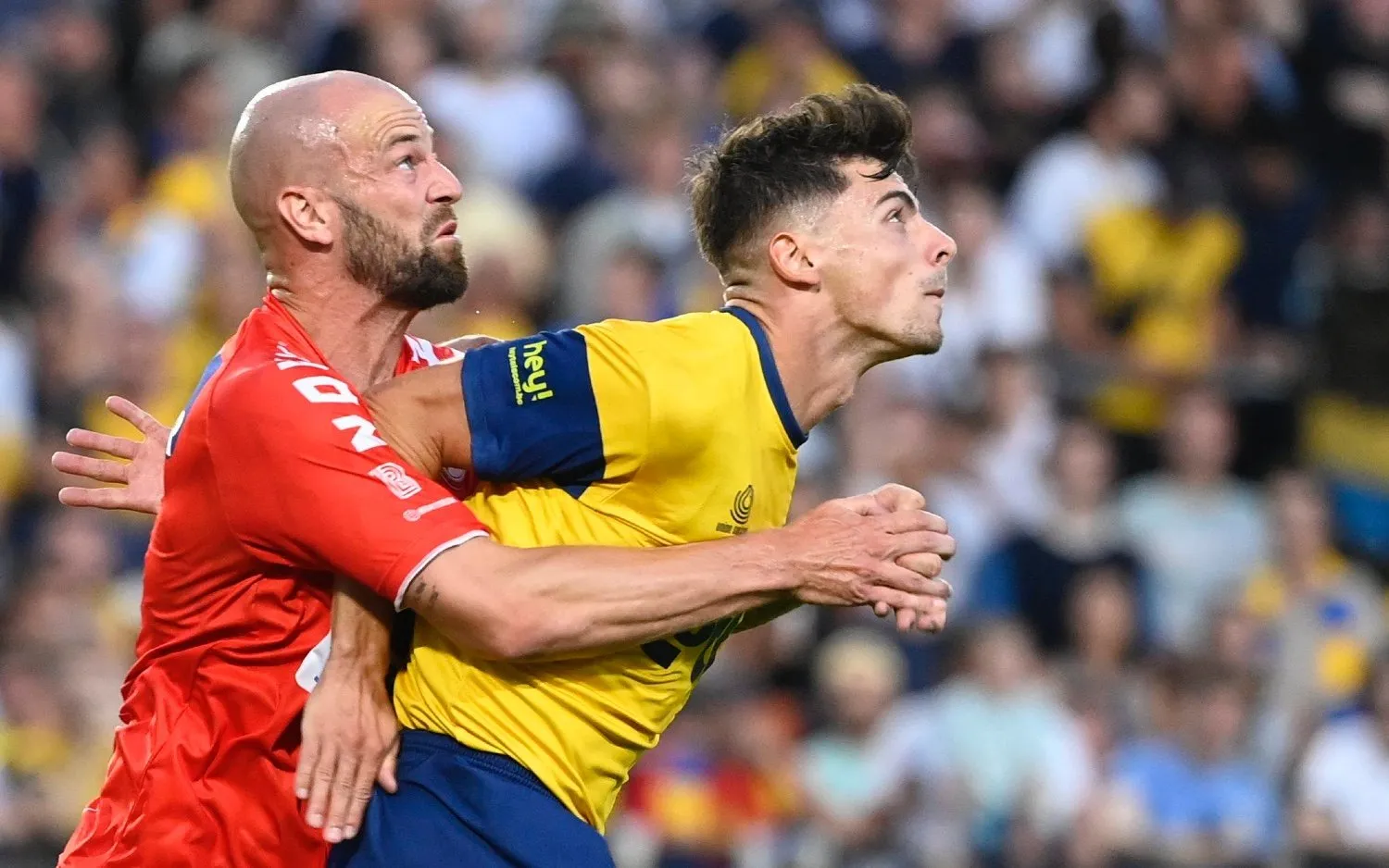 220813dessoleilvanzeir