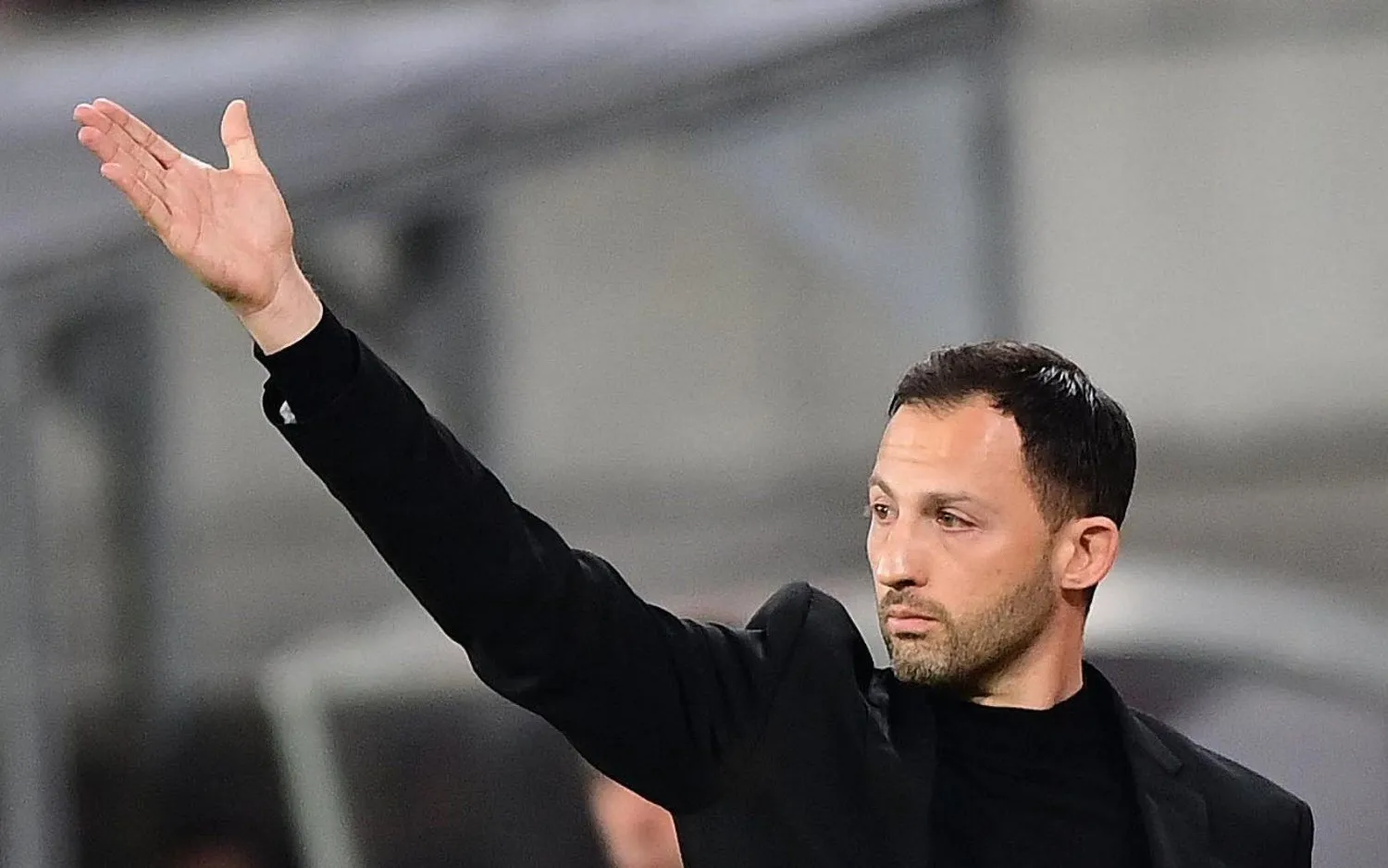 230206domenicotedesco