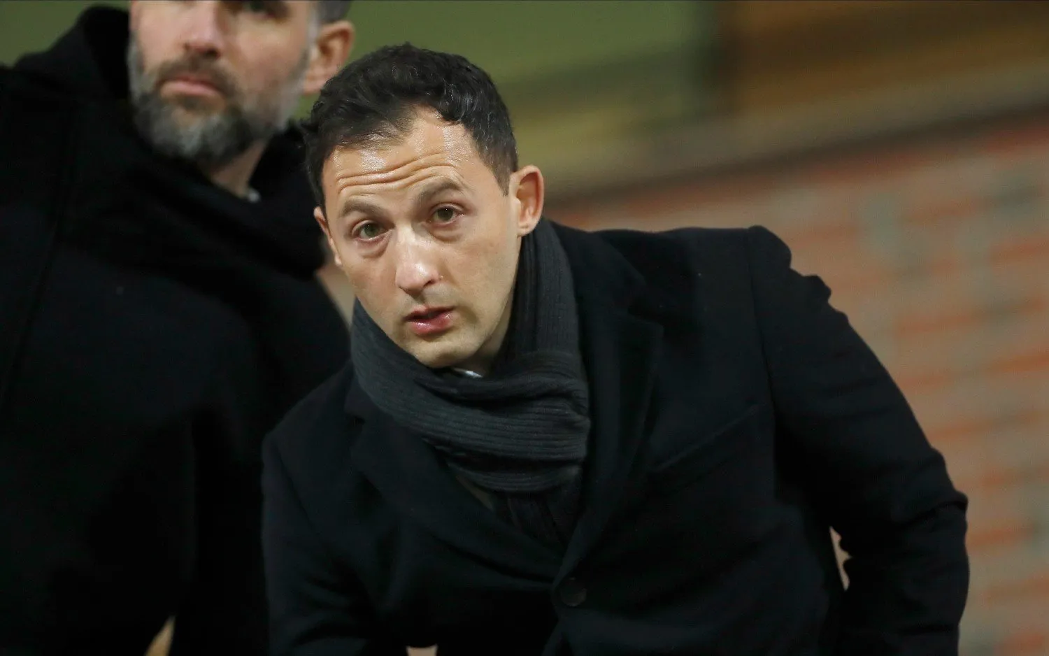 230221domenicotedesco