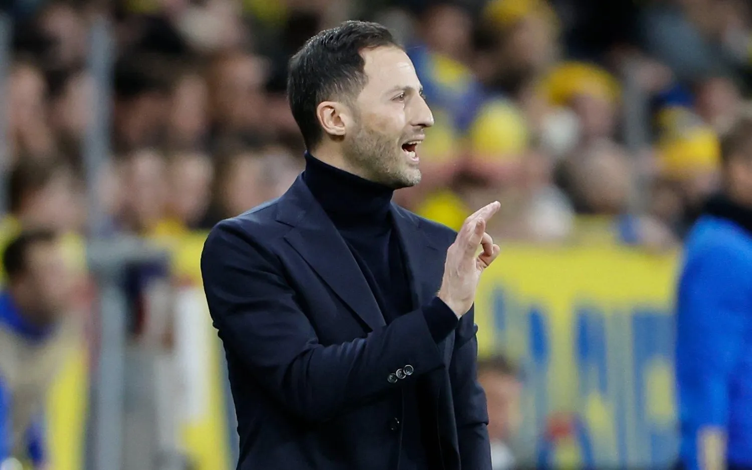 230325domenicotedesco 2