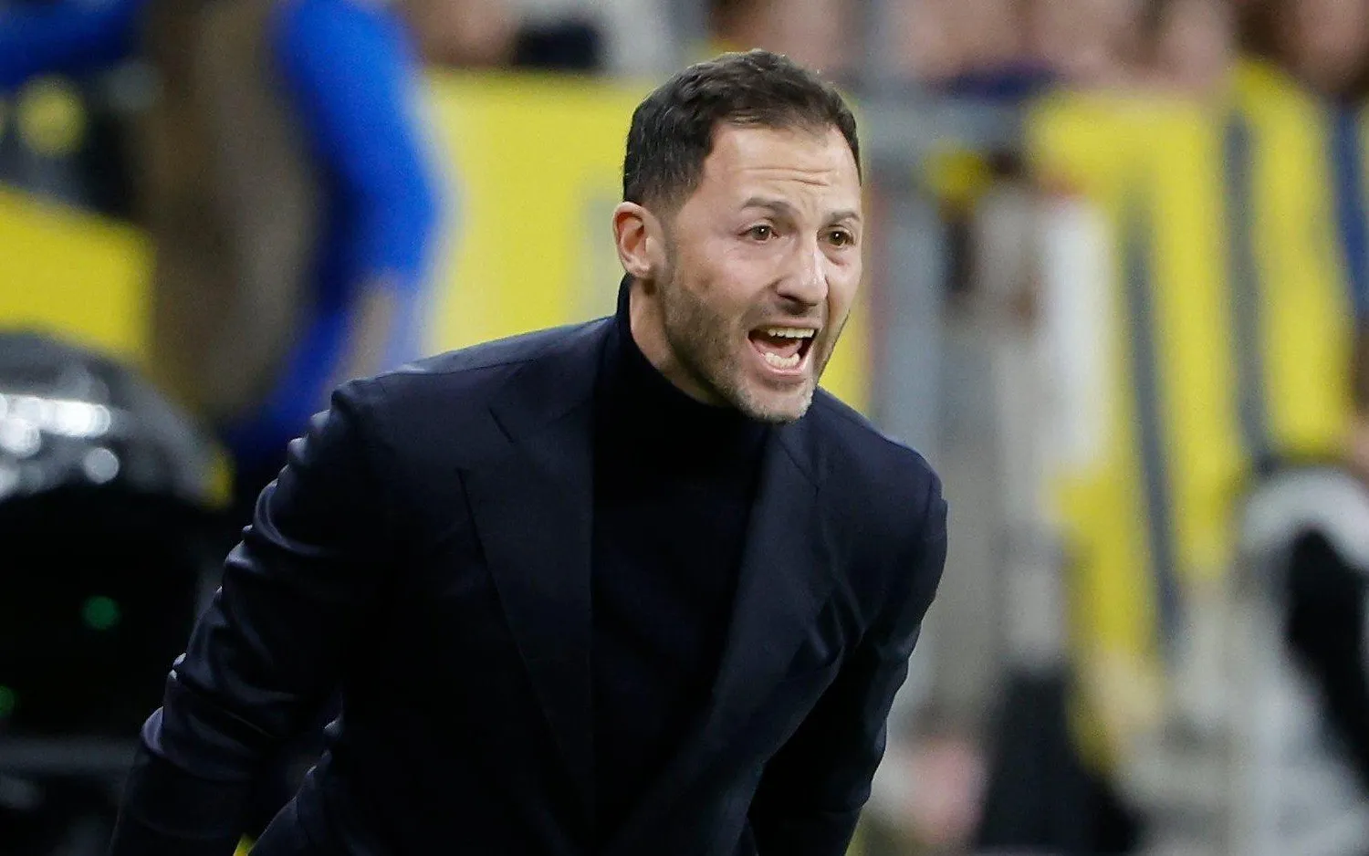 230325domenicotedesco