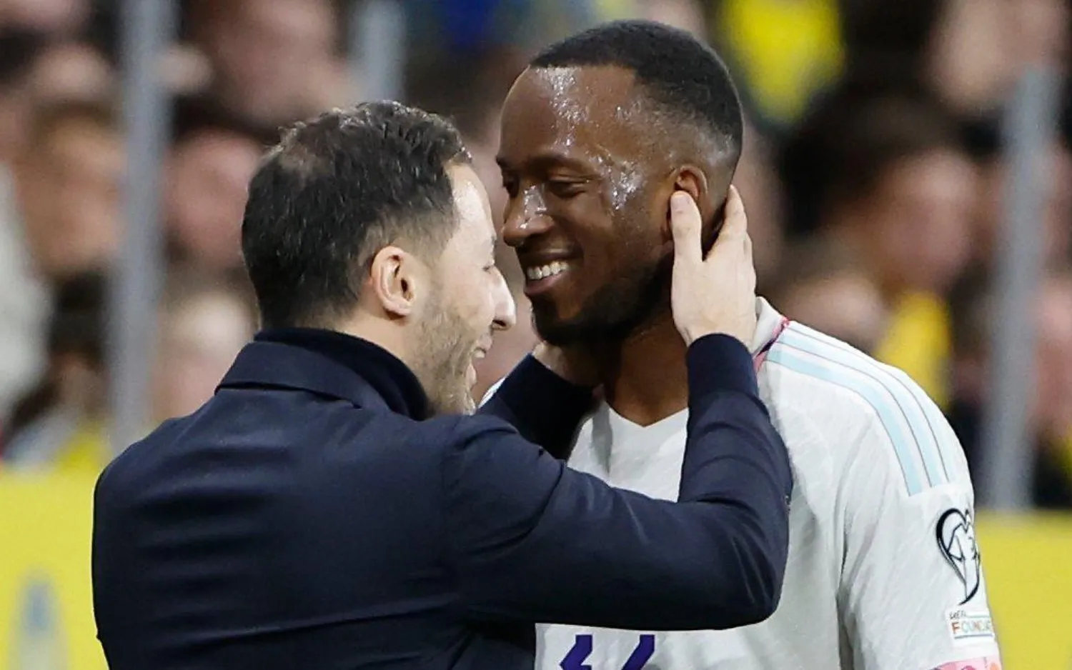 230326domenicotedescododilukebakio