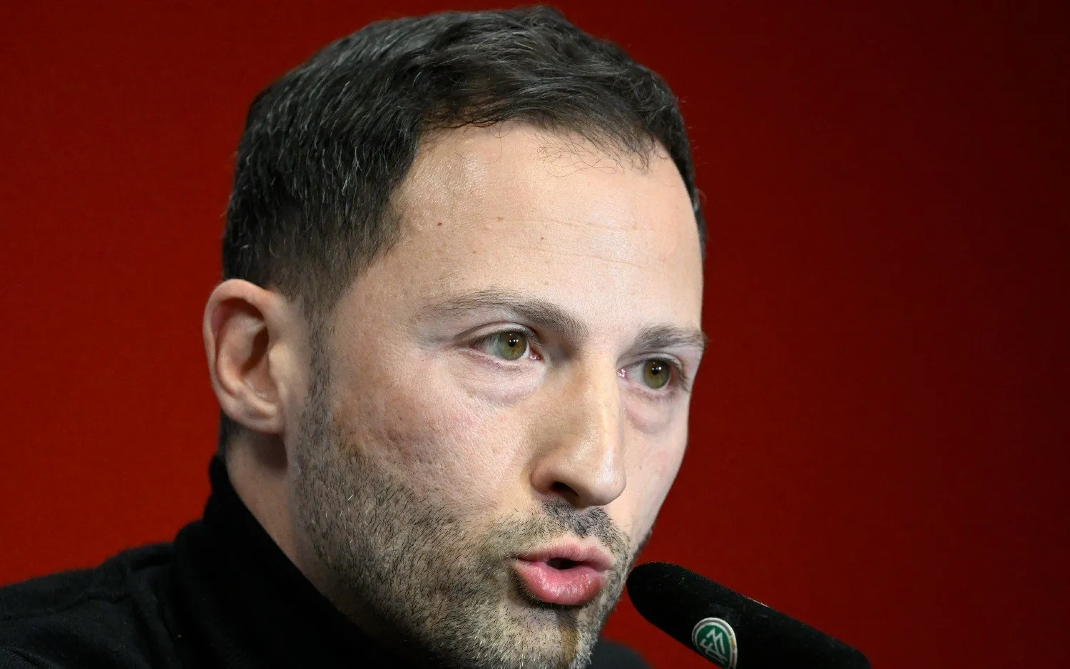 230330domenicotedesco