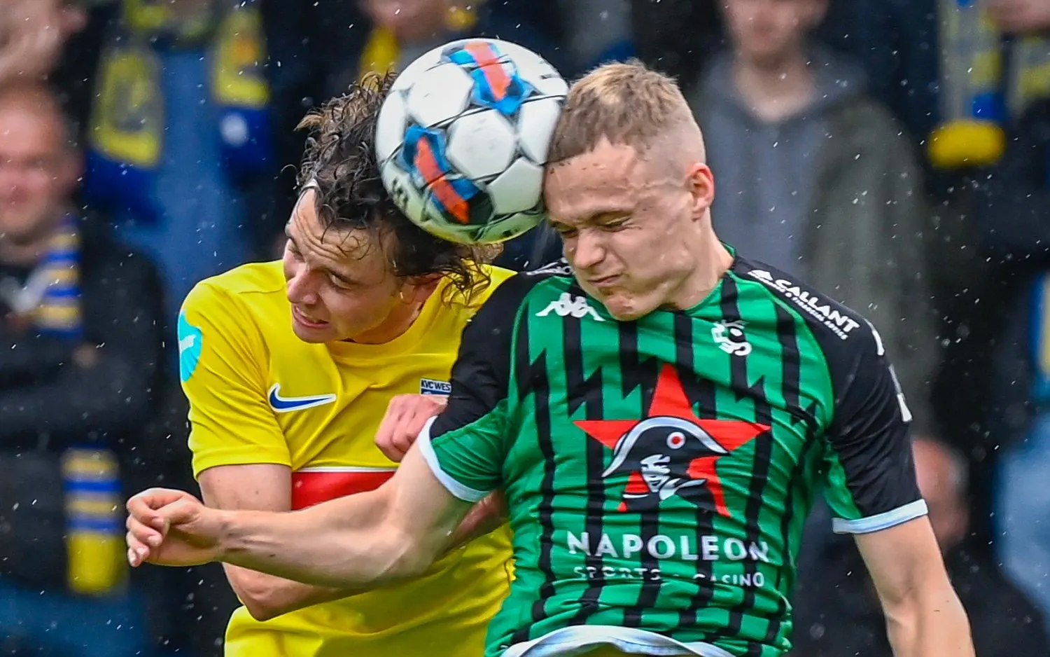 230507westerlocercledecuypersiquet