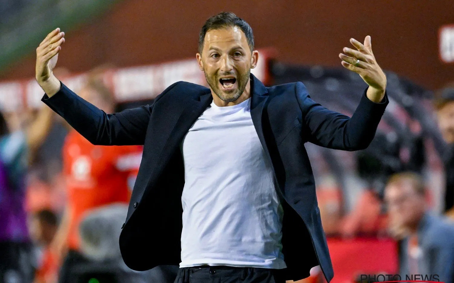 230618domenicotedesco