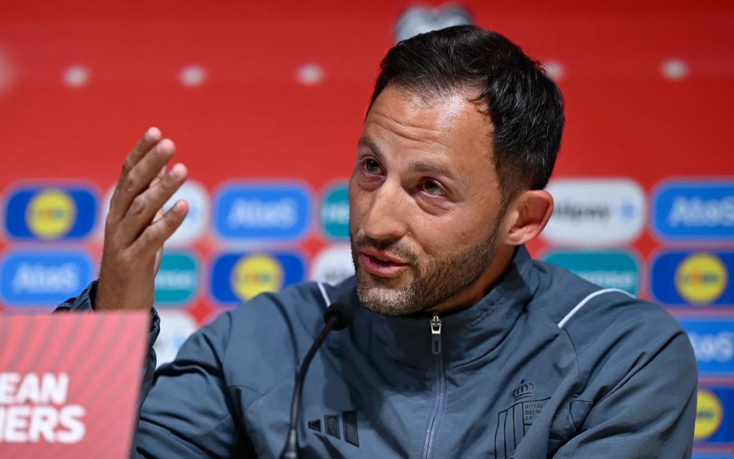 230620domenicotedesco