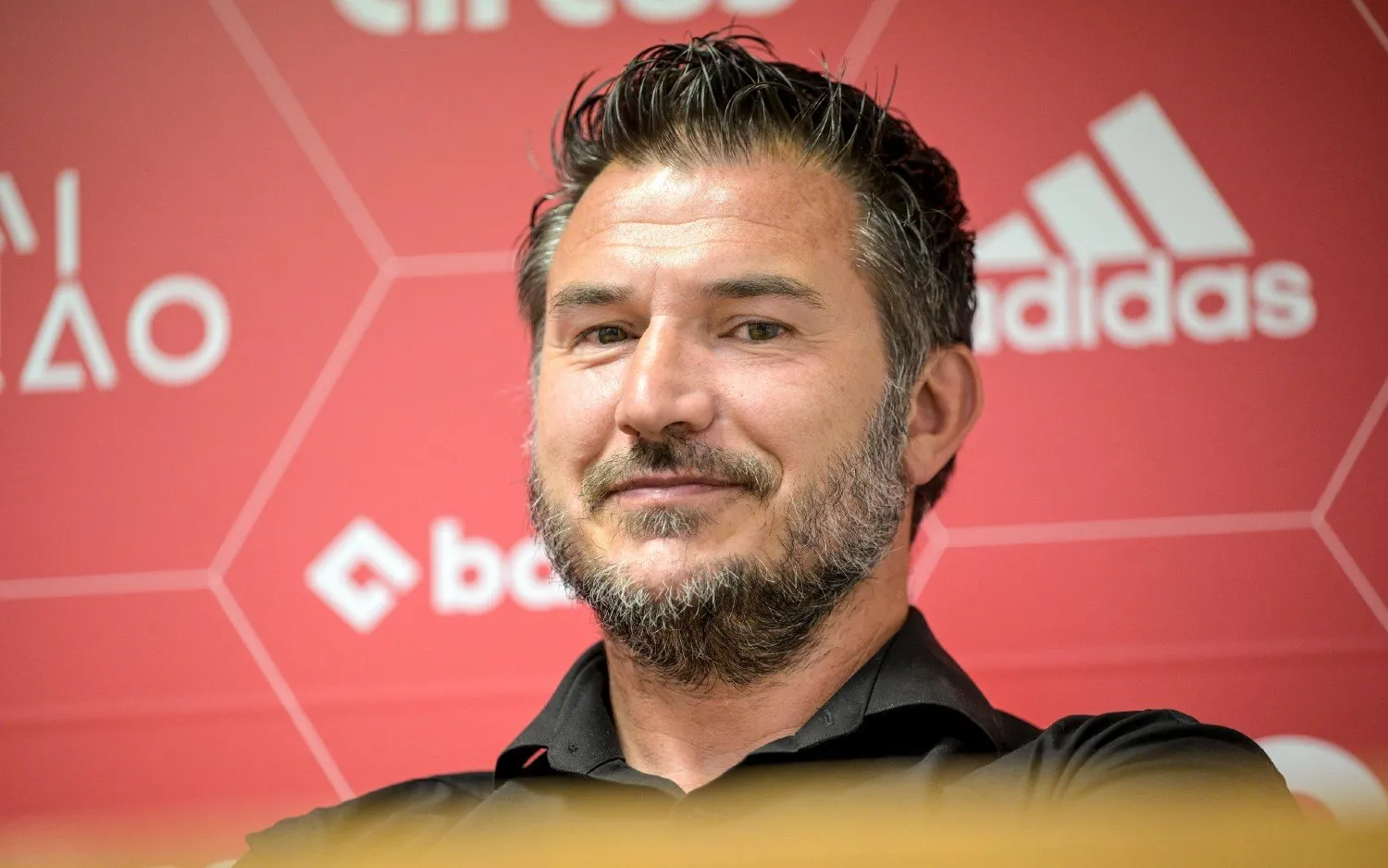 230625carlhoefkenslacht