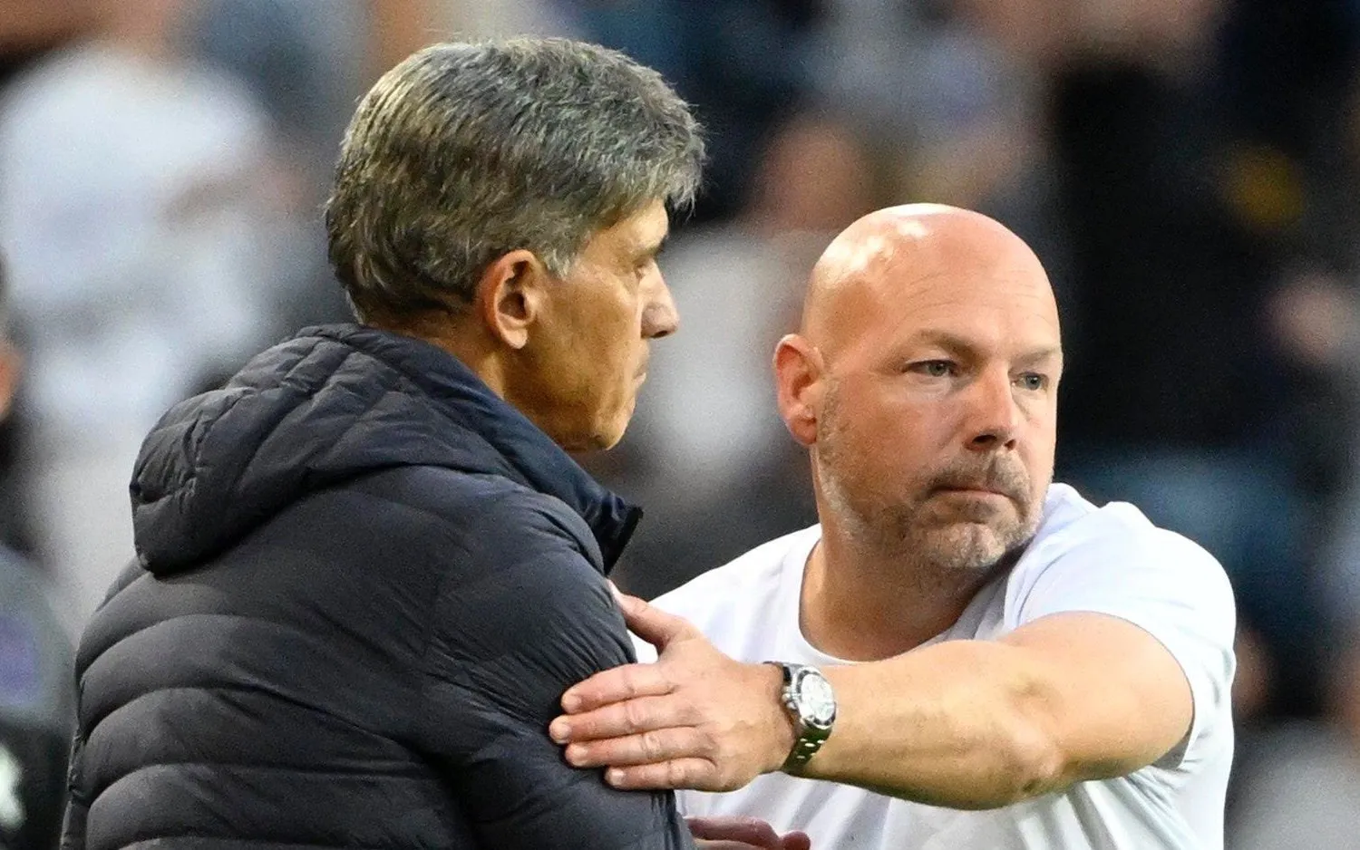 230829felicemazzubrianriemer