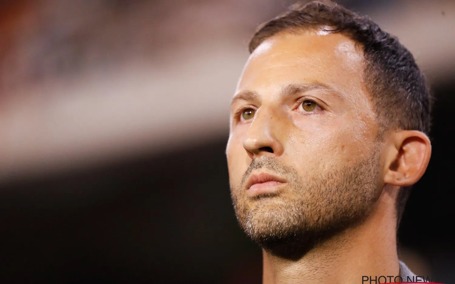 230913domenicotedesco