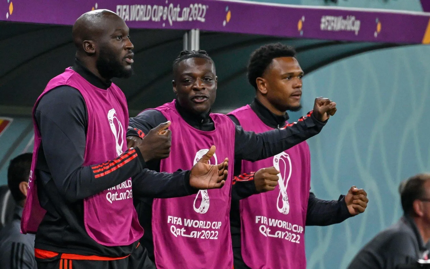 231008dokuopendalukaku