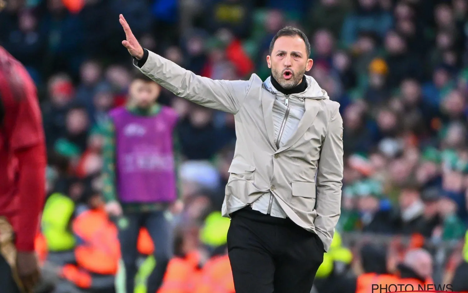 240323domenicotedesco