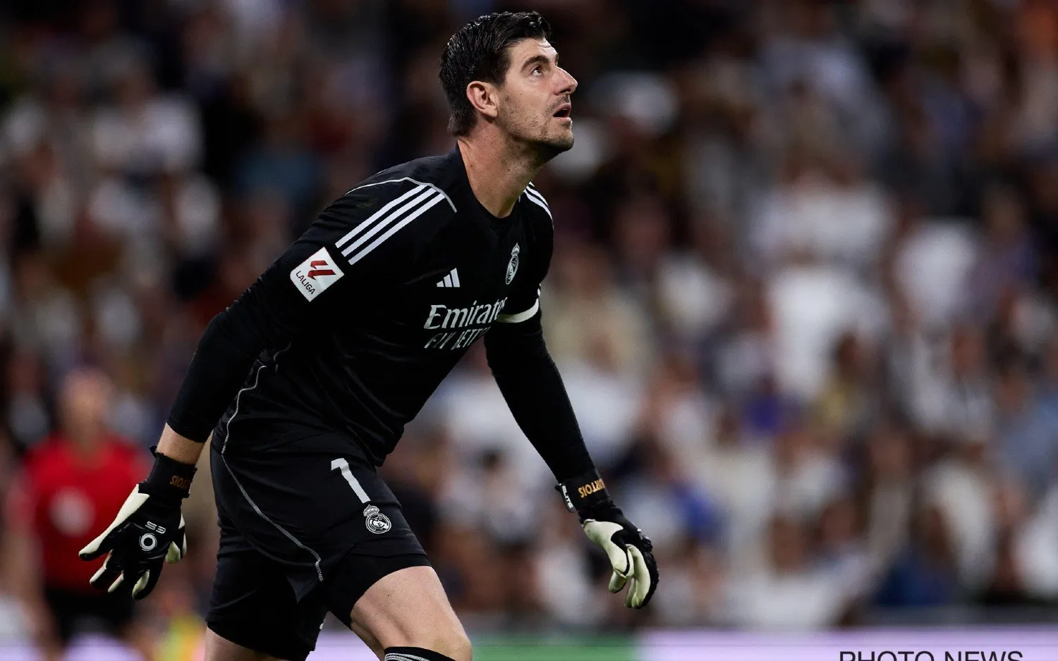 240515thibautcourtois