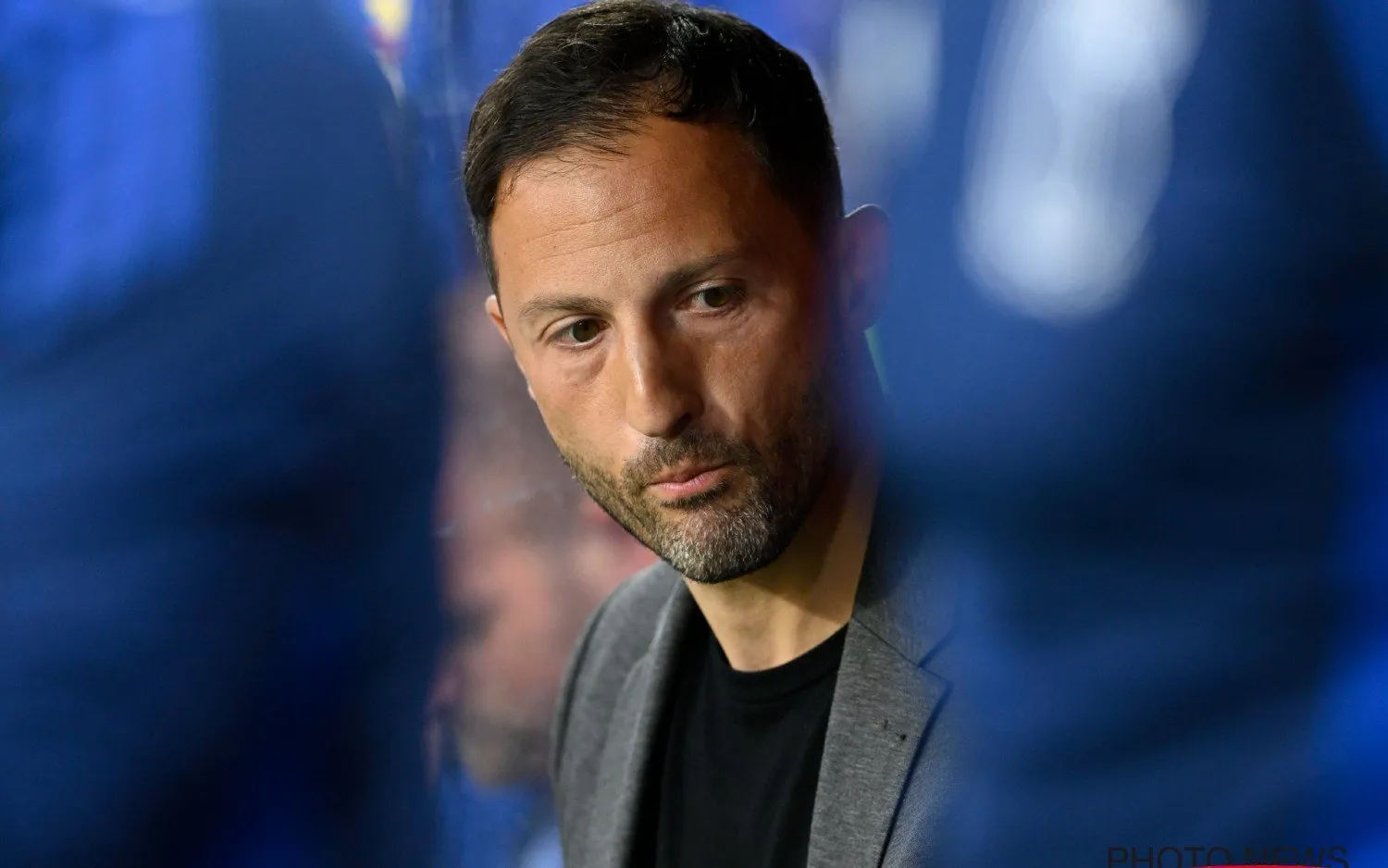 240626domenicotedesco