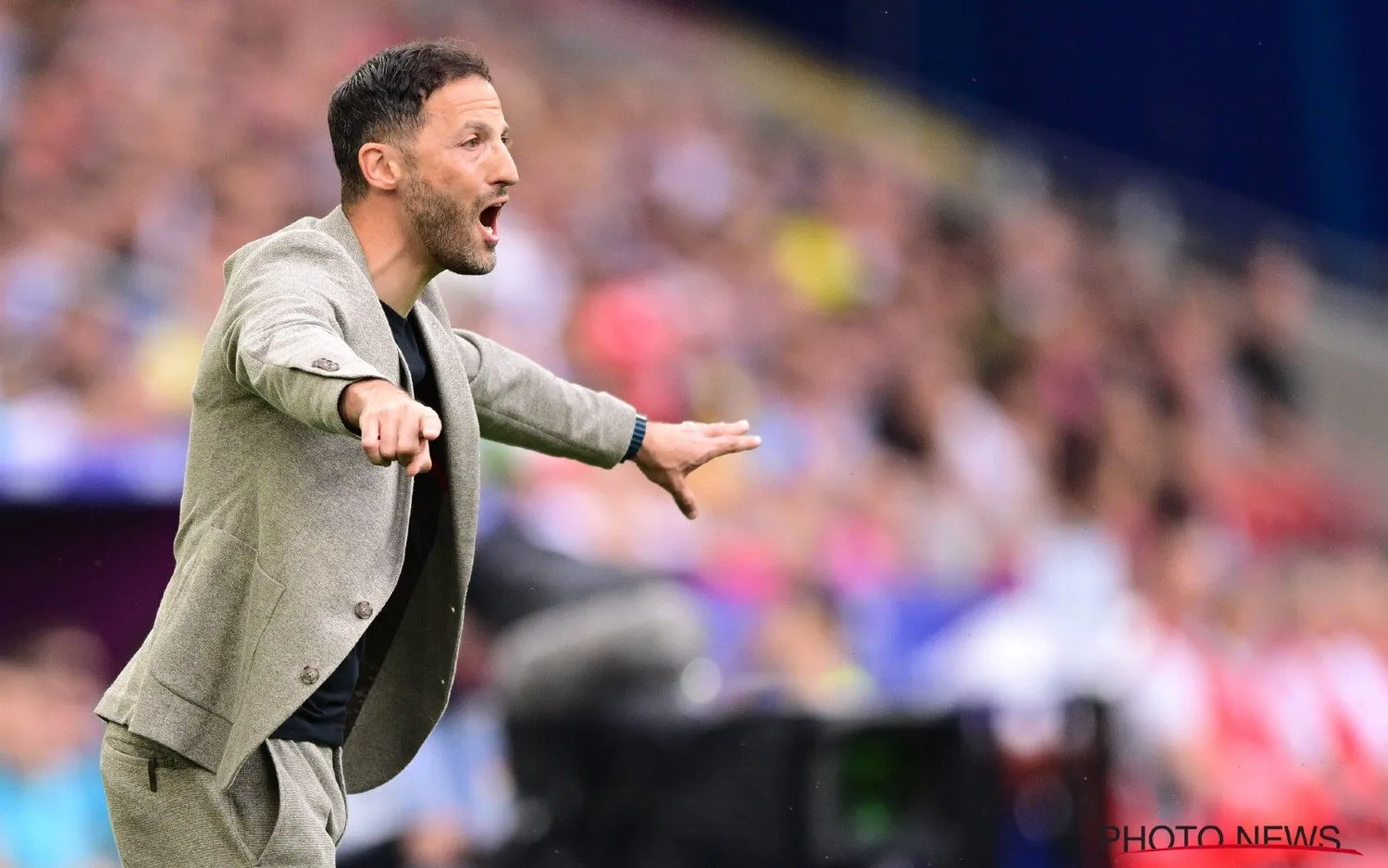 240627domenicotedesco2