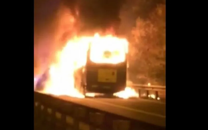 696737324 b9710102945z