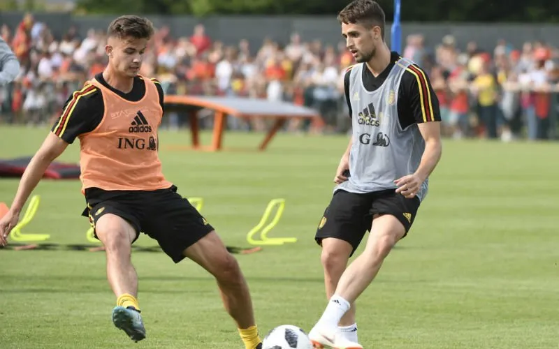 dendoncker januzaj