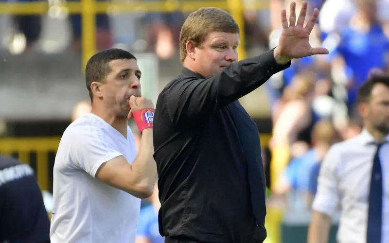 heinvanhaezebrouck12235311