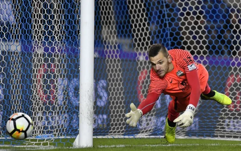 hendrikvancrombrugge0101