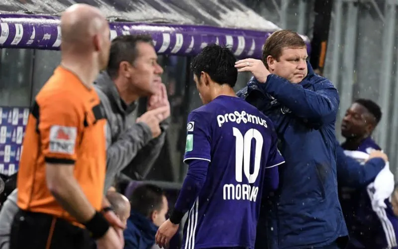 moriokavanhaezebrouck 1