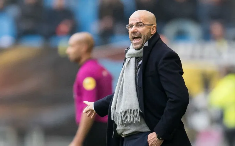 peterbosz 33
