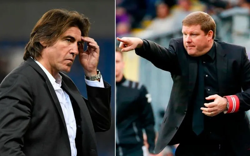 sapintovanhaezebrouck