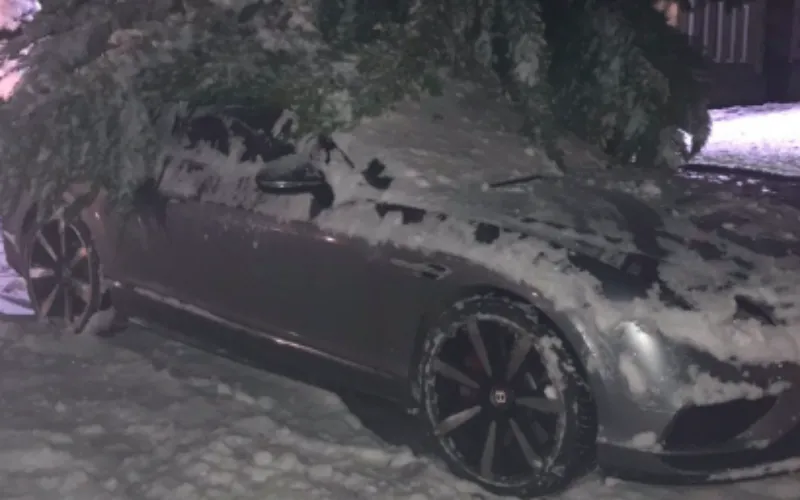 schermafbeelding 2017 12 11 om 18