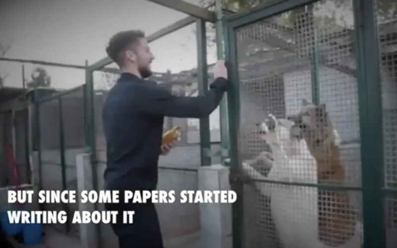 schermafbeelding 2018 03 02 om 13