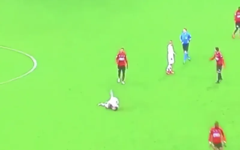 schermafbeelding 2019 04 29 om 11