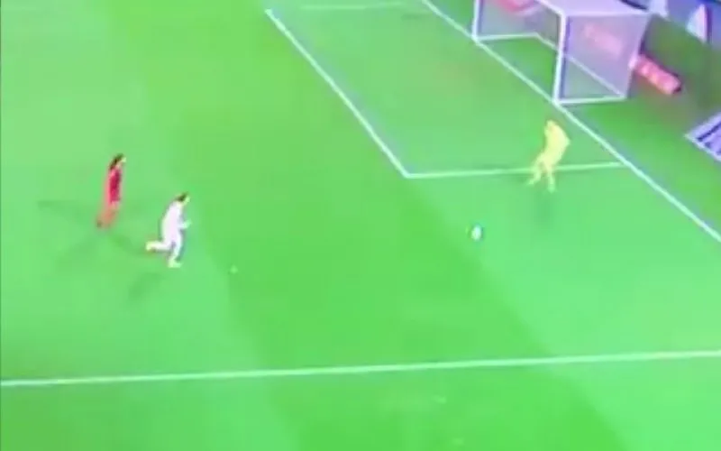 schermafbeelding 2020 11 18 om 222937