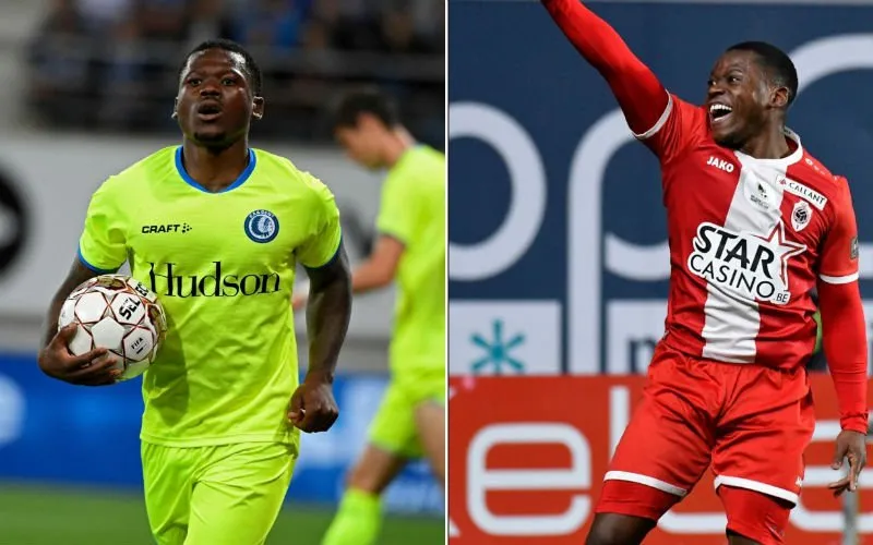 stallonelimbombe 234