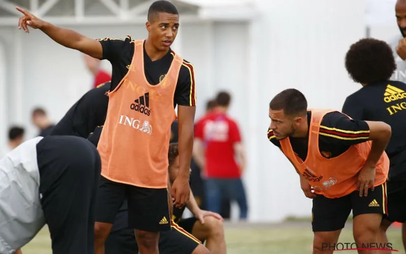 tielemans hazard 041