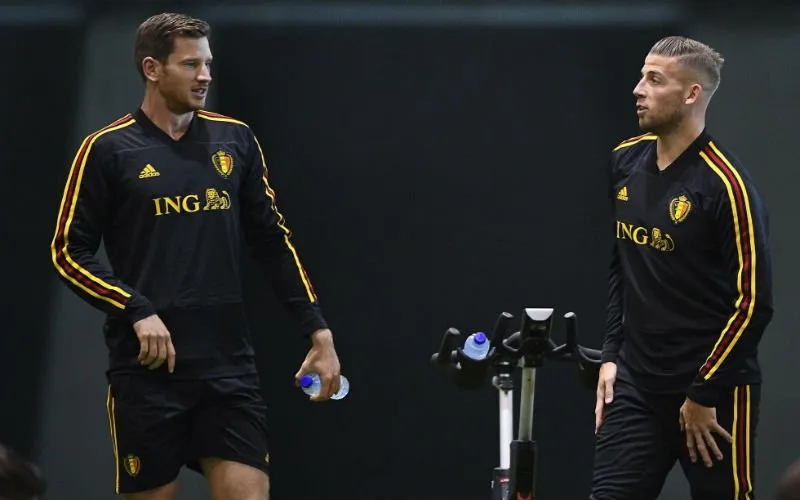 vertonghenalderweireld44